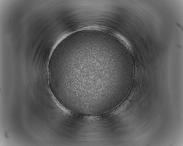 X0000096660808200802191305