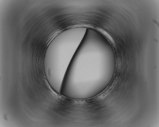 X0000096660809200802191305