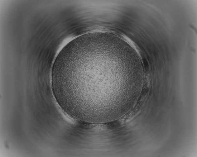 X0000096660811200802191305