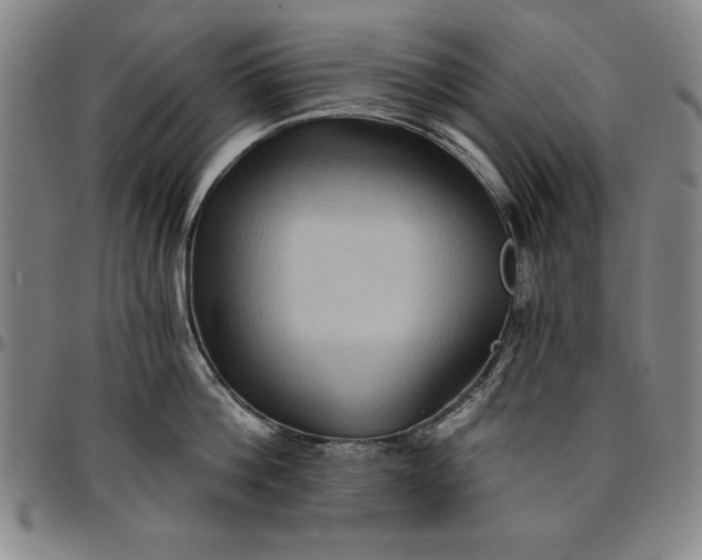 X0000096660812200802191305