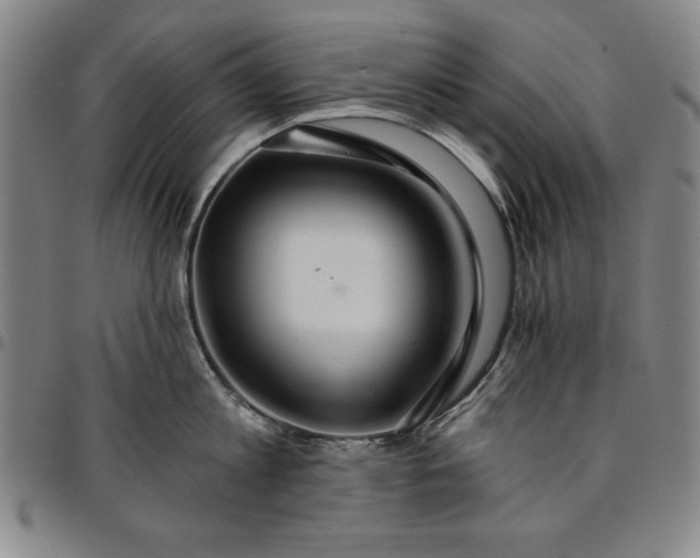 X0000096660813200802191305