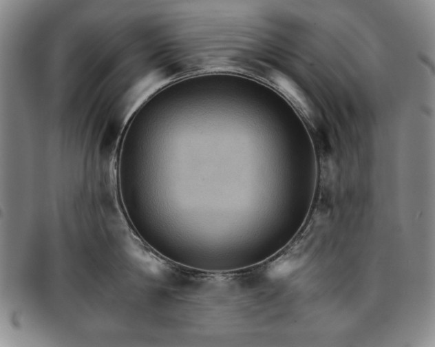 X0000096660814200802191305