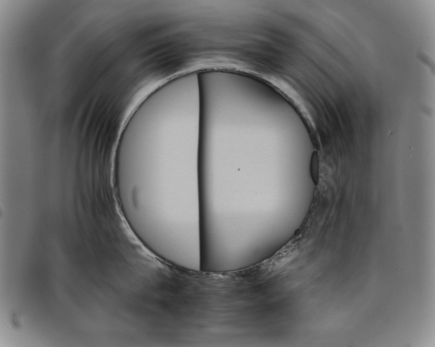 X0000096660815200802191305