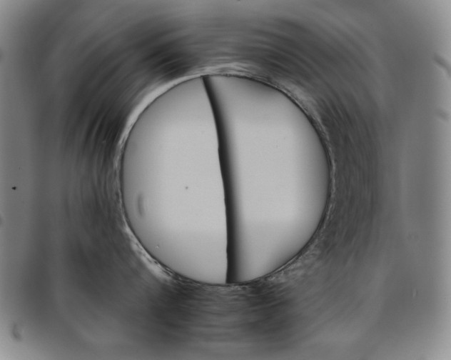 X0000096660816200802191305