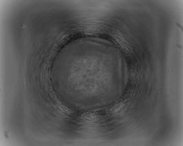 X0000096660817200802191304