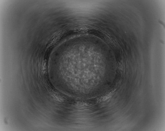 X0000096660818200802191304