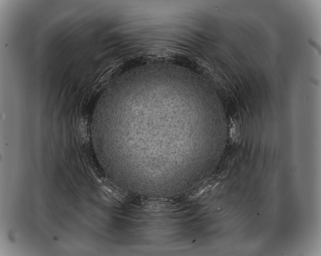 X0000096660819200802191304