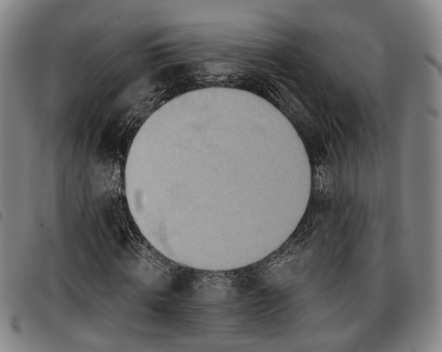 X0000096660820200802191304