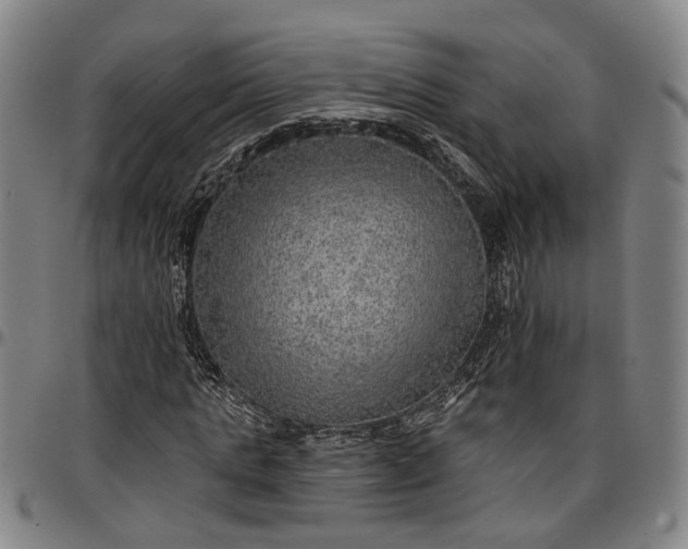 X0000096660821200802191304