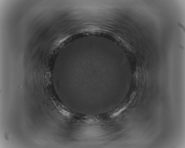 X0000096660822200802191305