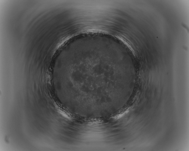 X0000096660823200802191305