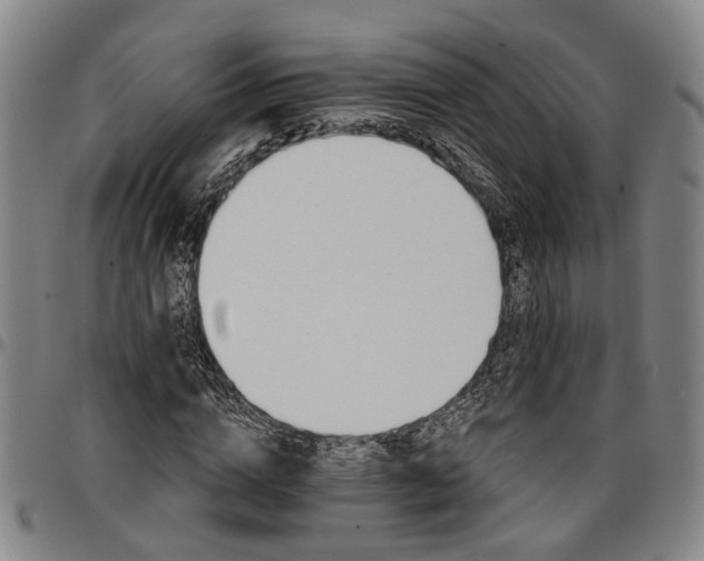 X0000096660824200802191305