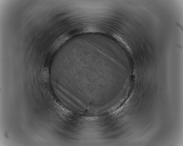 X0000096660825200802191305