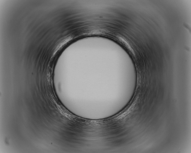 X0000096660827200802191305