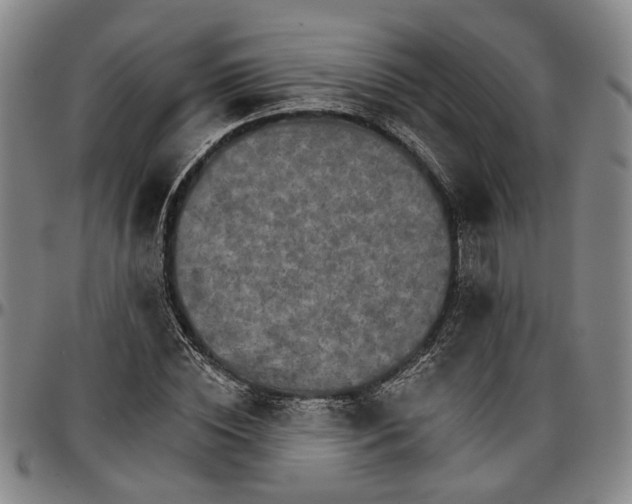 X0000096660828200802191305