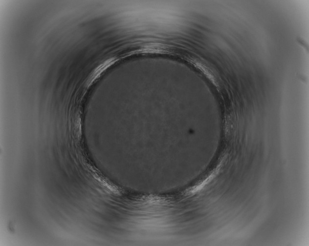 X0000096660829200802191305