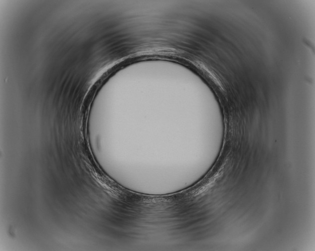 X0000096660830200802191305