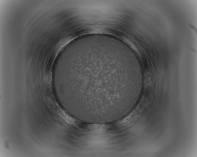 X0000096660831200802191305