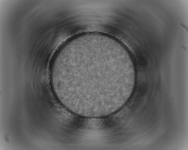 X0000096660832200802191305