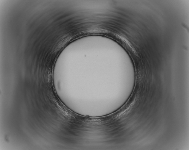 X0000096660833200802191305