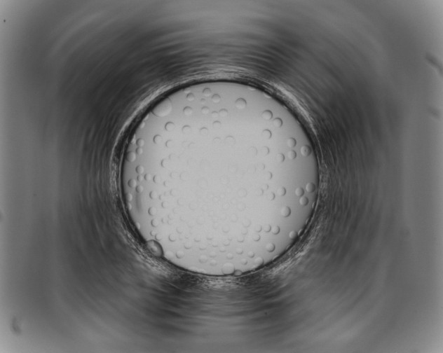 X0000096660835200802191305