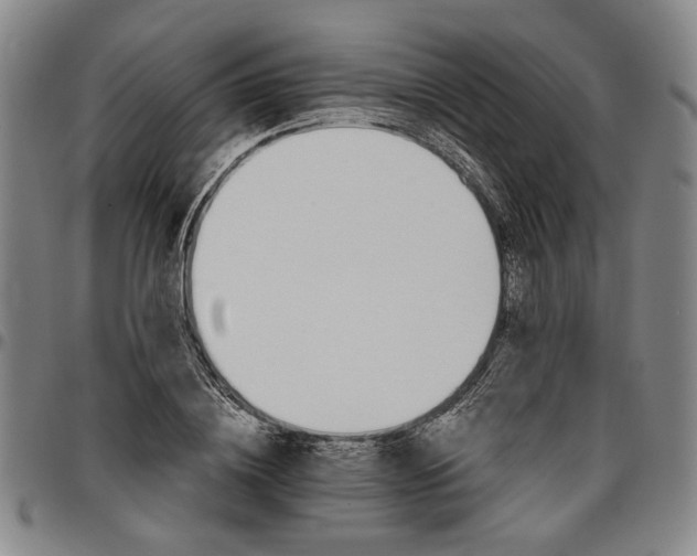 X0000096660836200802191305