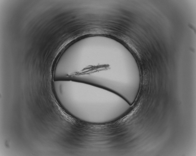 X0000096660837200802191305