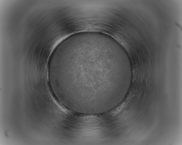 X0000096660838200802191305