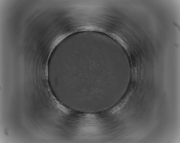 X0000096660839200802191305