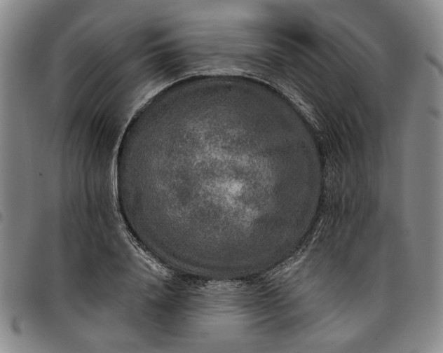 X0000096660840200802191305