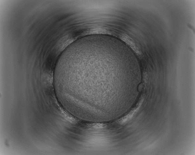 X0000096660841200802191305