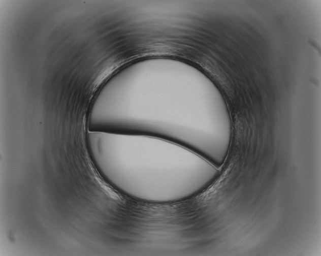 X0000096660842200802191305