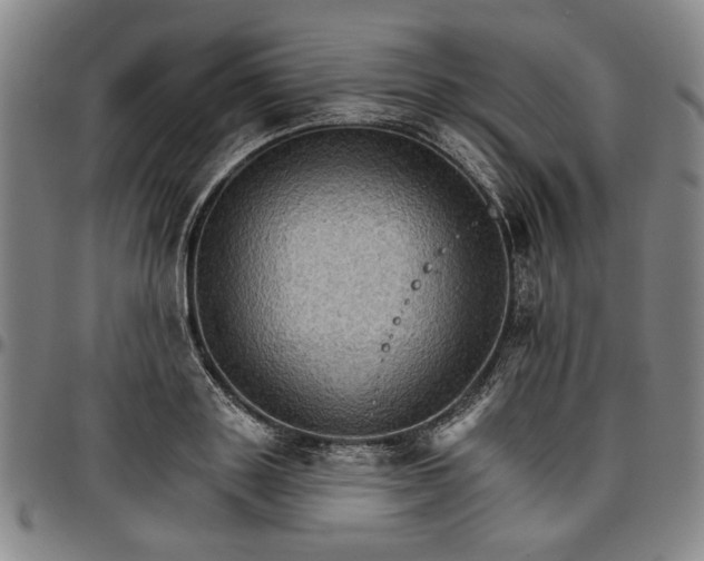 X0000096660843200802191305