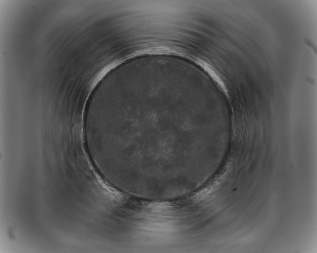 X0000096660845200802191305