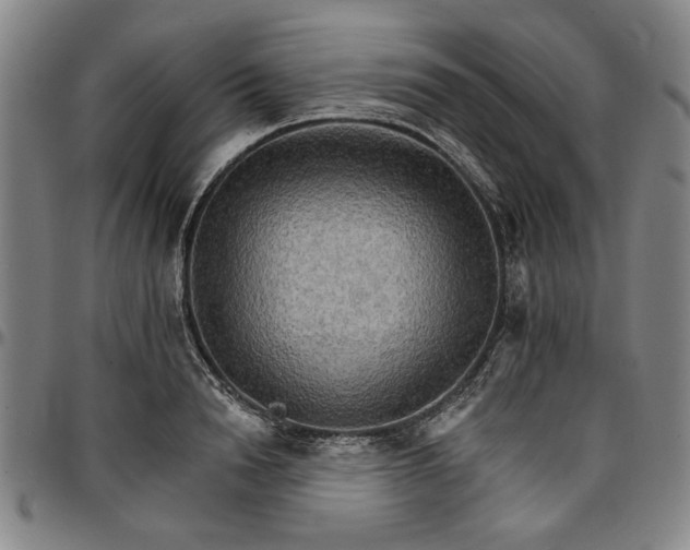 X0000096660846200802191305