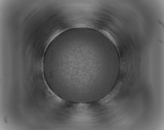 X0000096660847200802191305