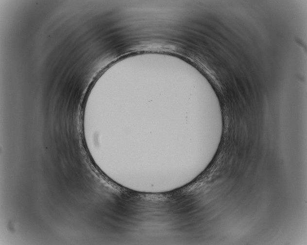 X0000096660848200802191305