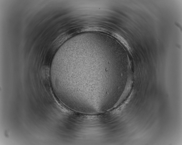 X0000096660849200802191305