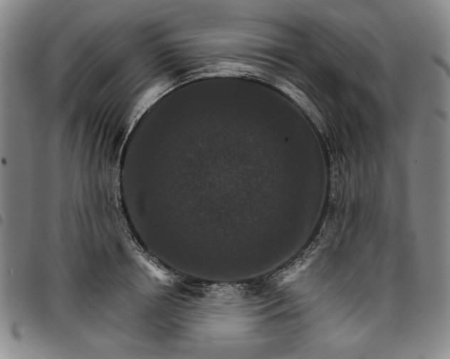 X0000096660850200802191305