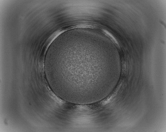 X0000096660852200802191305