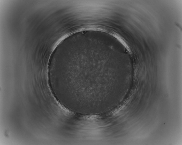 X0000096660853200802191305