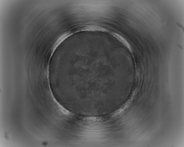 X0000096660855200802191305