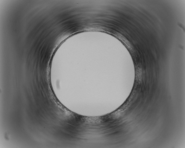 X0000096660856200802191305