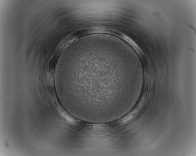 X0000096660857200802191305