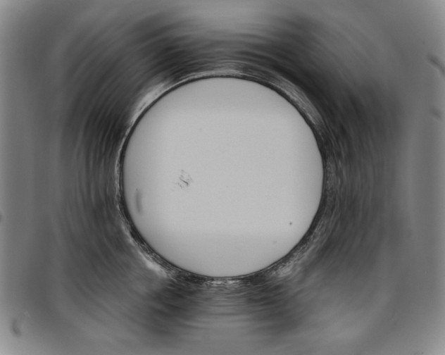 X0000096660858200802191305