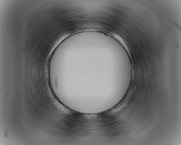 X0000096660859200802191305