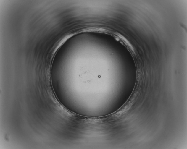 X0000096660860200802191305