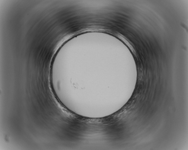 X0000096660861200802191305