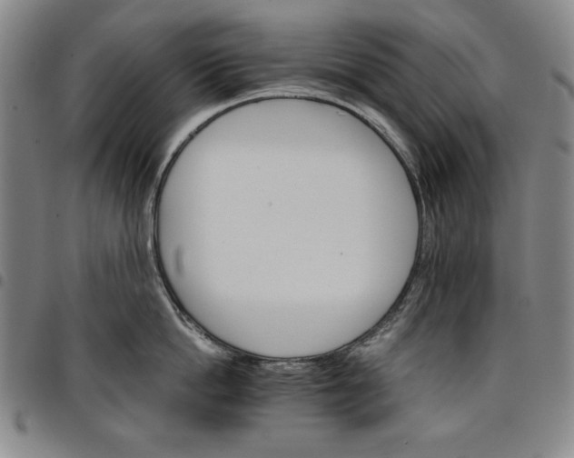 X0000096660862200802191305