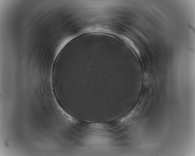 X0000096660863200802191305